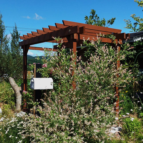 ウエスタンレッドシダー パーゴラ