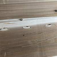 ウエスタンレッドシダー アウトレット商品