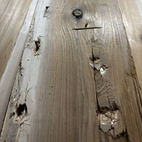 ウエスタンレッドシダー アウトレット商品