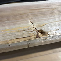 ウエスタンレッドシダー アウトレット商品